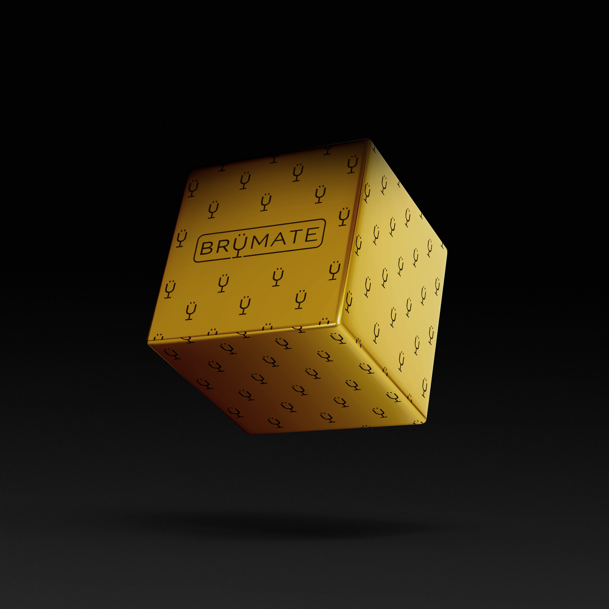 premium-mystery-item-39-70-value-h2 IMG-1548.png